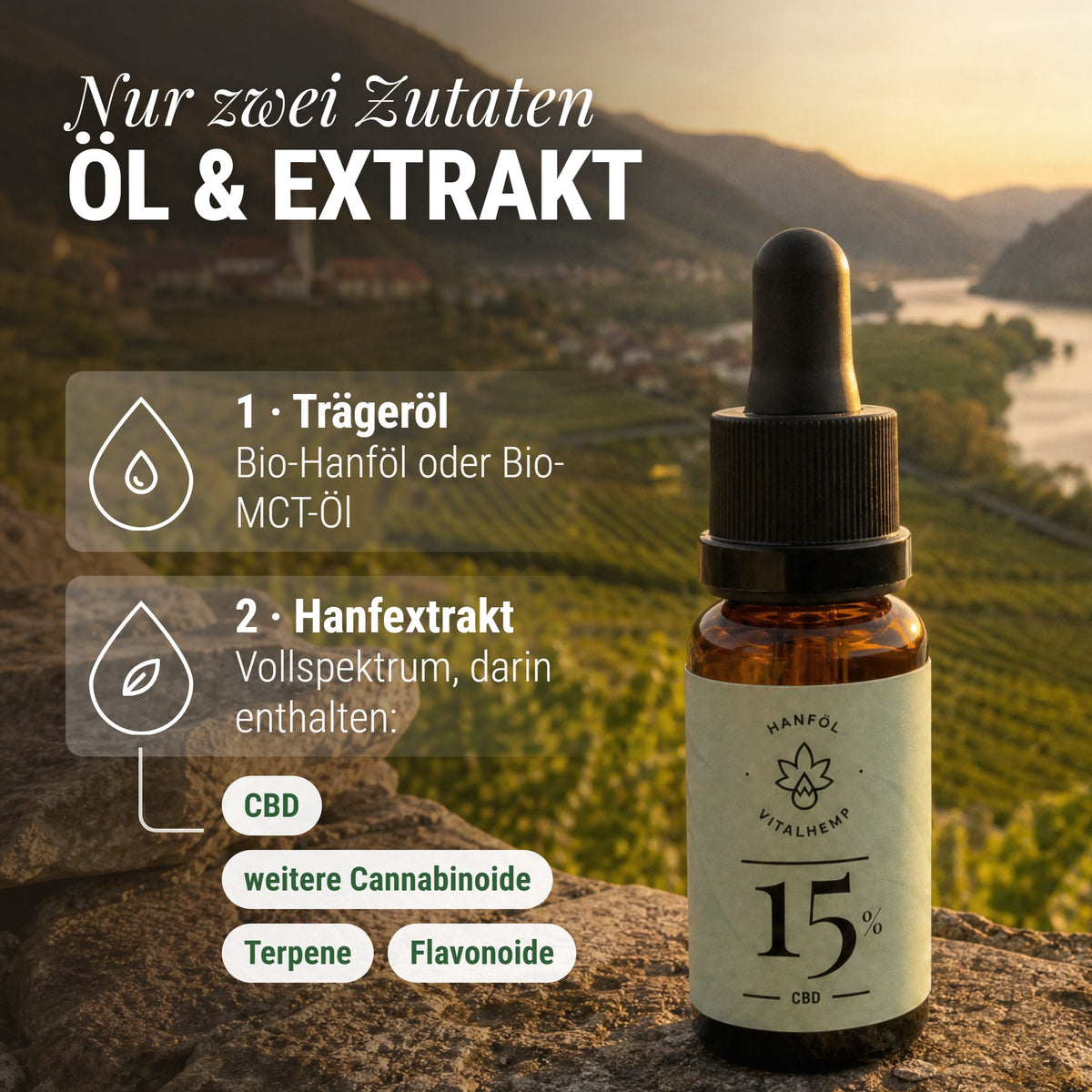 CBD-Öl 15 %: Nur zwei Zutaten Öl & Extrakt