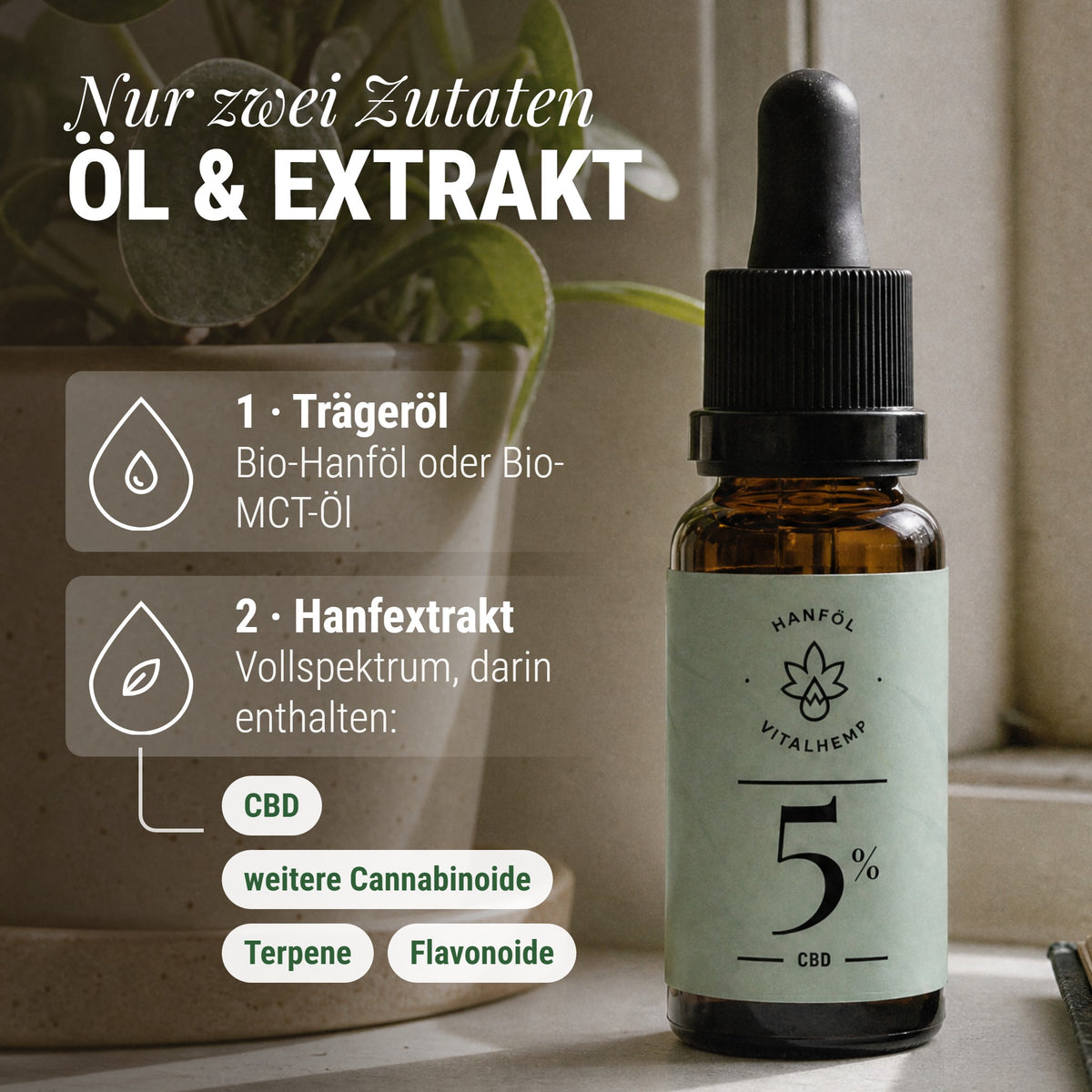 CBD-Öl 5 %: Nur zwei Zutaten Öl & Extrakt