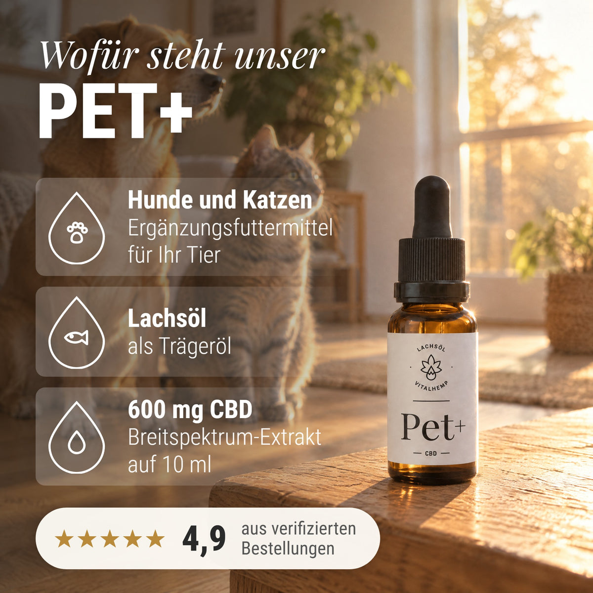 CBD Pet+ für Hunde & Katzen: Wofür steht unser Pet+