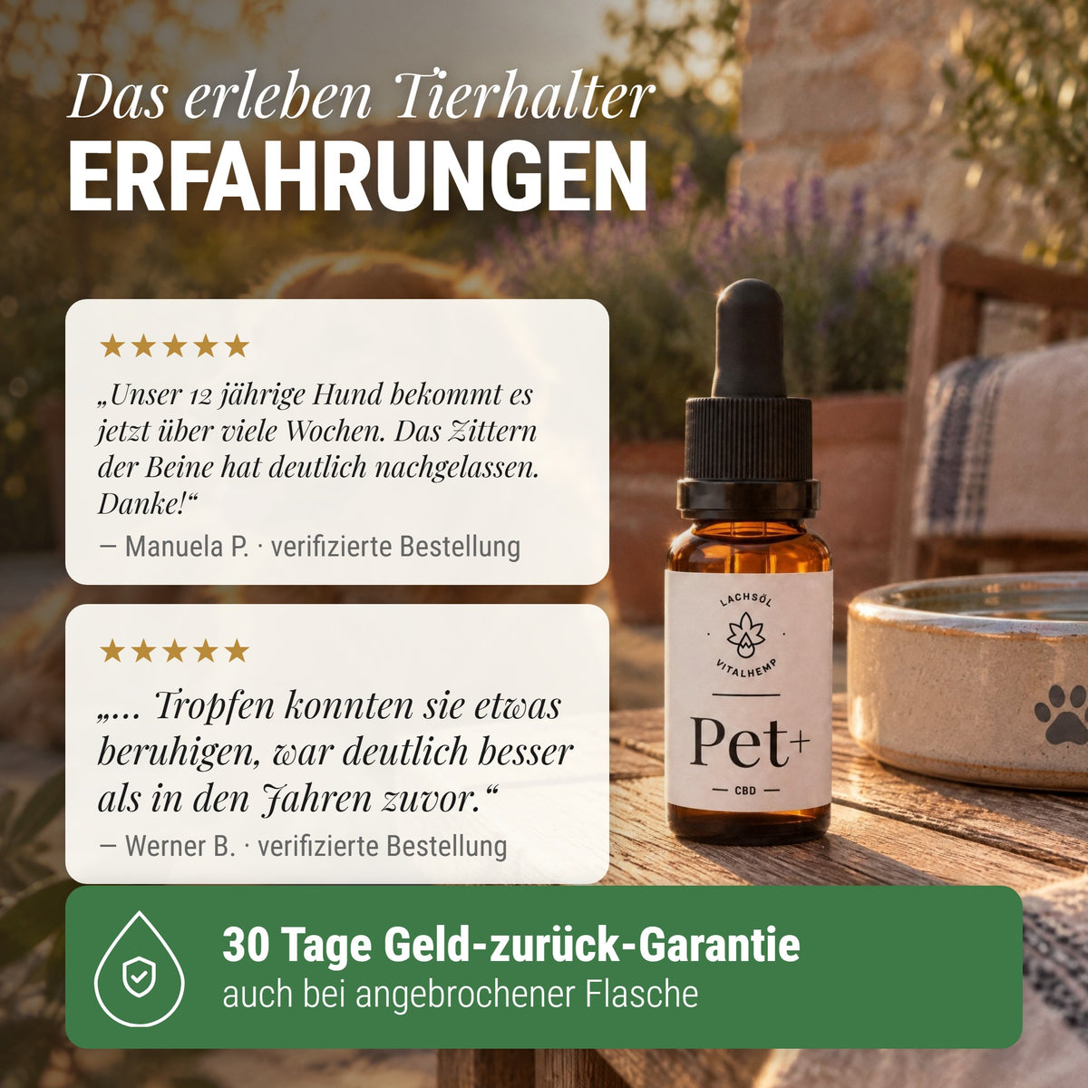 CBD Pet+ für Hunde & Katzen: Das erleben Tierhalter Erfahrungen