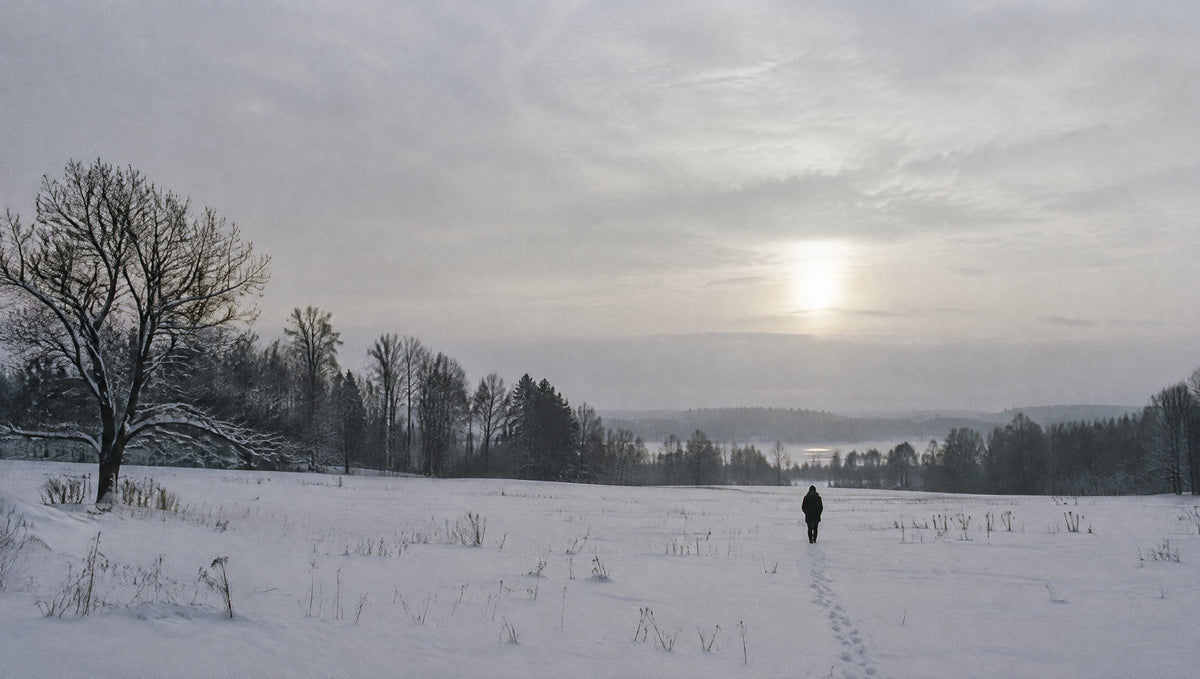 Eine einzelne Person geht über ein verschneites Feld unter einem winterlich blassen Himmel.