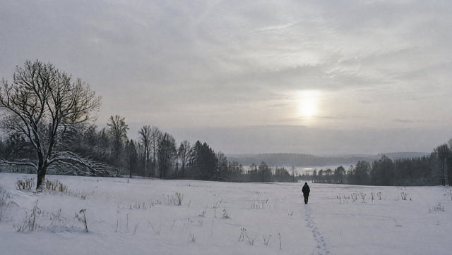 Eine einzelne Person geht über ein verschneites Feld unter einem winterlich blassen Himmel.