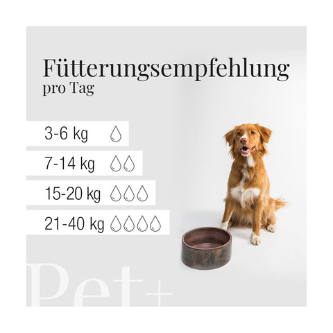 CBD Öl für Tiere | Pet+ in Bio Lachsöl 6%