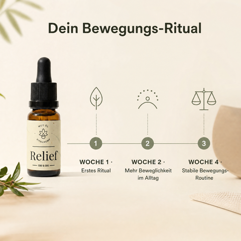 VITALHemp Relief – Dein Bewegungs-Ritual