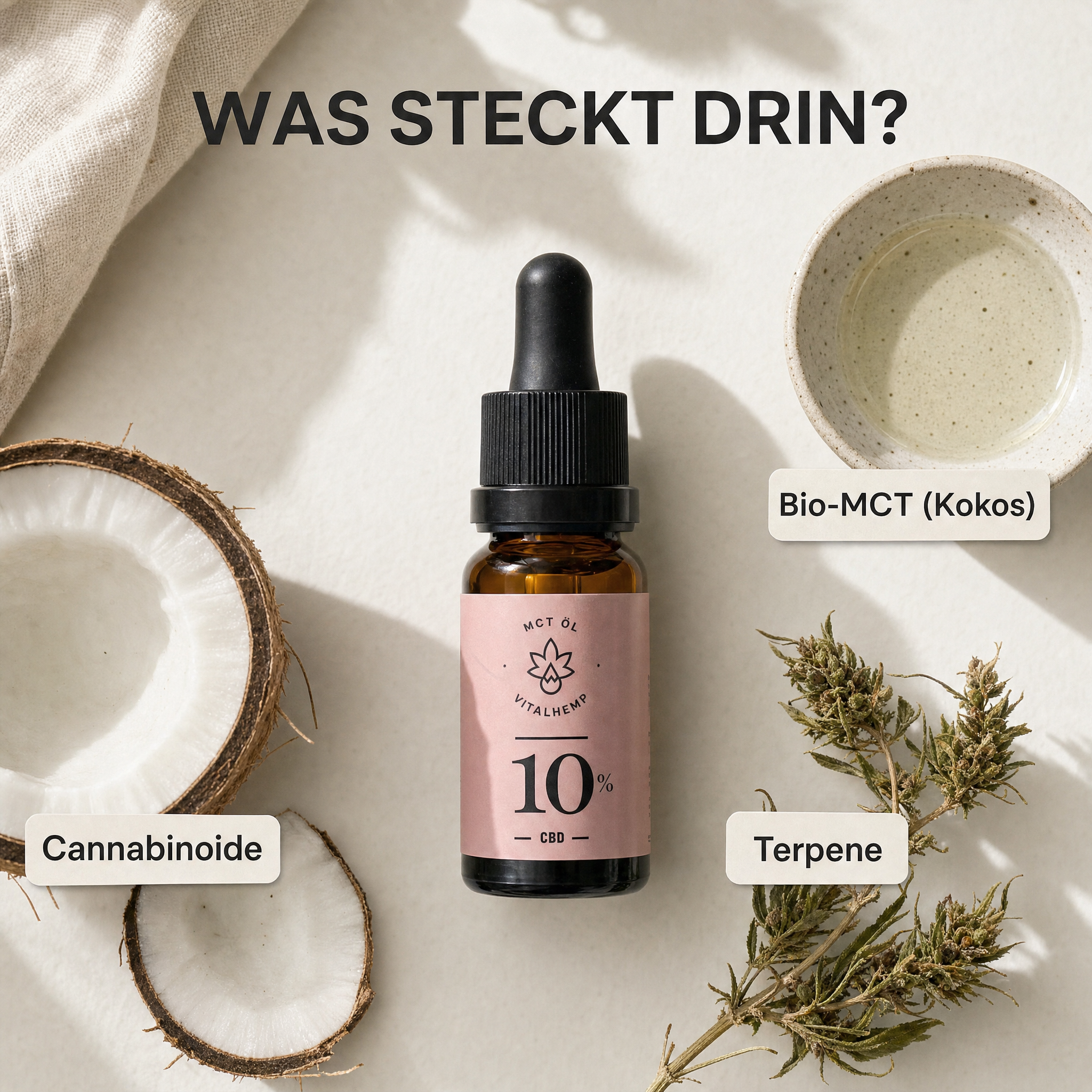 VITALHemp Active 10% - Was steckt drin