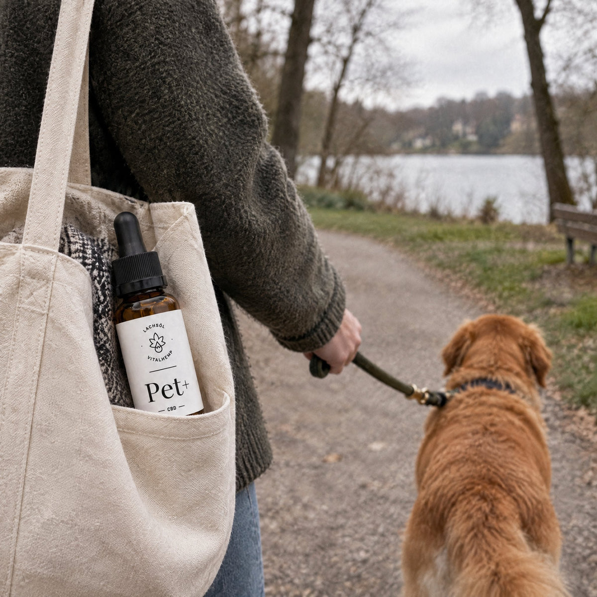 VITALHemp Pet+ Flasche in der Tasche beim Spaziergang mit Hund