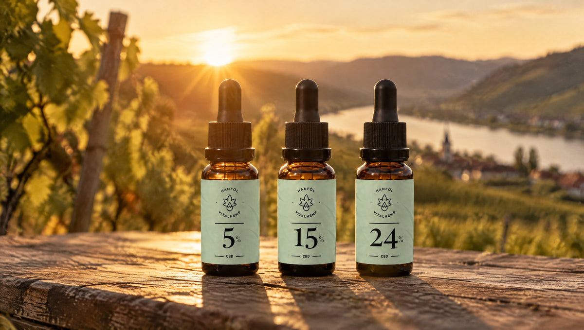 Drei VITALHemp CBD-Öl-Flaschen in Bio-Hanföl, 5, 15 und 24 %, in der Wachau im Abendlicht.
