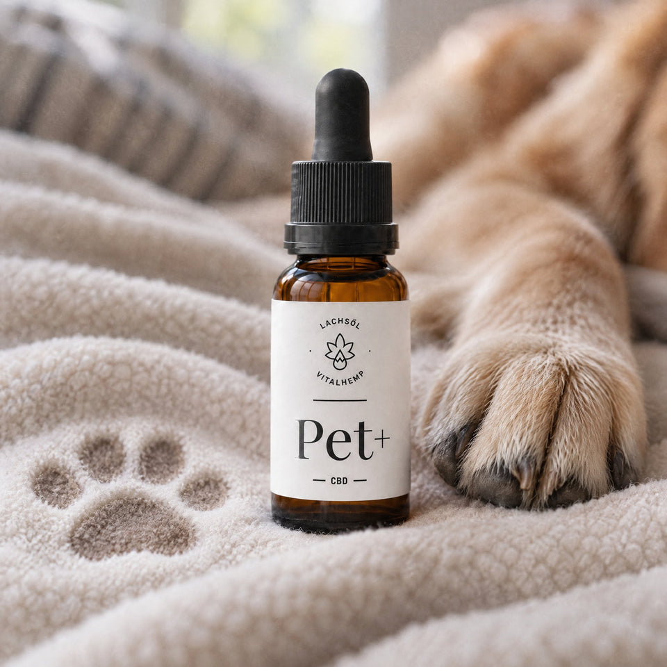 VITALHemp Pet+ Flasche neben einem Pfotenabdruck.